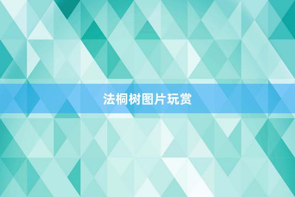 法桐树图片玩赏