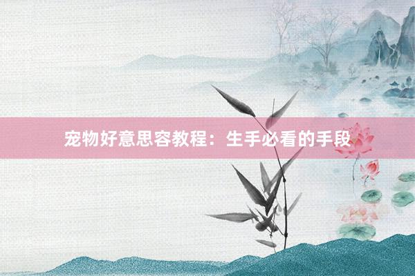 宠物好意思容教程：生手必看的手段